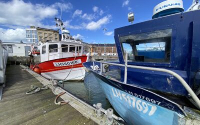 Le port de pêche du Havre : un patrimoine maritime à découvrir