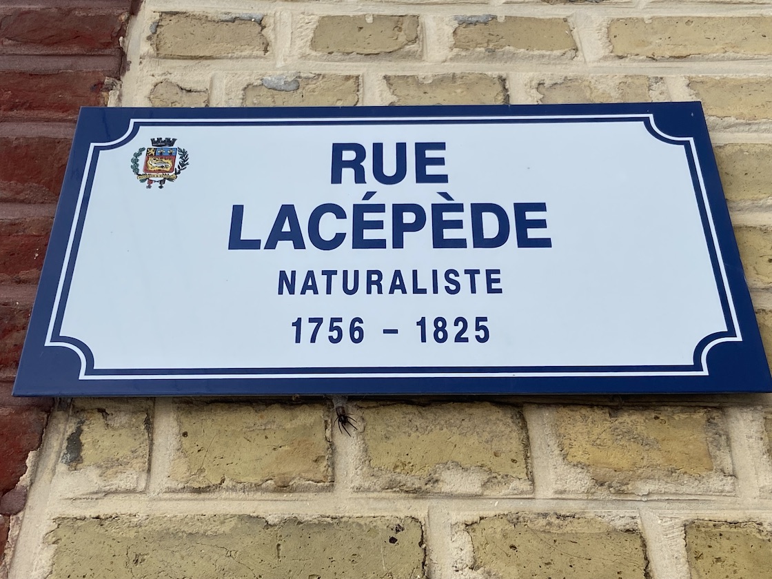 rue lacepede Panneau Rue Lacepede Le Havre