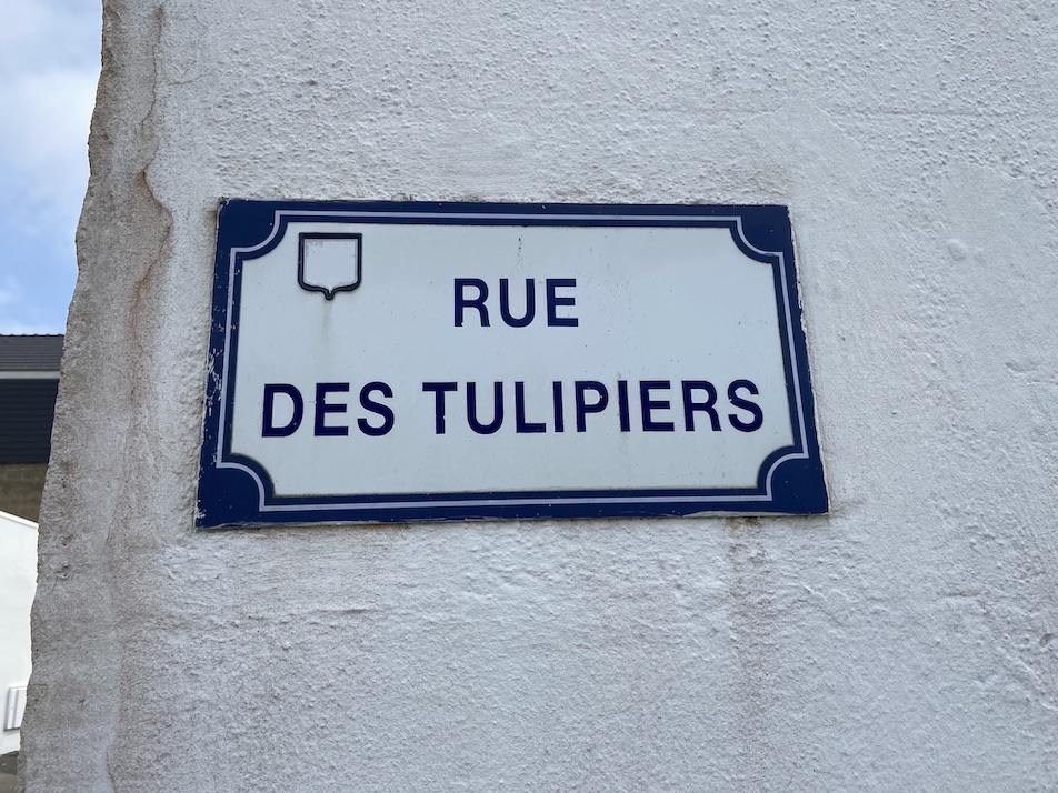Panneau Rue des Tulipiers Le Havre | Panneau Jules Siegfried Le Havre